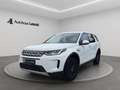 Land Rover Discovery Sport D150 4WD Aut. LED CAM NAVI PDC 360GRAD KEYLESS ... Weiß - thumbnail 1