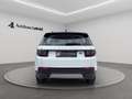 Land Rover Discovery Sport D150 4WD Aut. LED CAM NAVI PDC 360GRAD KEYLESS ... Weiß - thumbnail 5