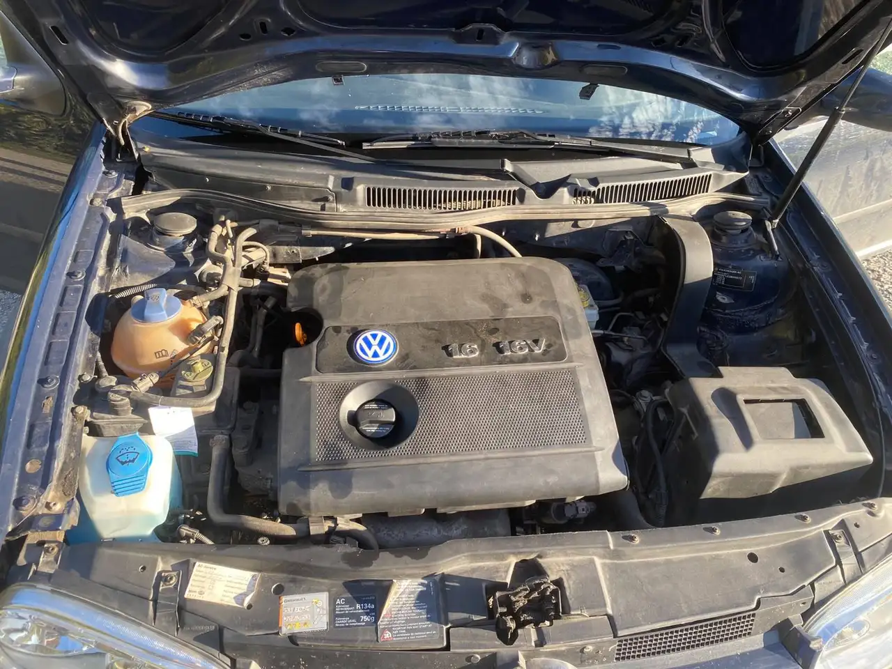 Volkswagen Golf 1.6 Edition, foto 5