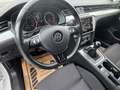 Volkswagen Passat Variant Comfortline Weiß - thumbnail 16