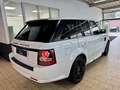 Land Rover Range Rover Sport SDV6 HSE *VOLL+NAVI+LEDER+20'A Blanc - thumbnail 7