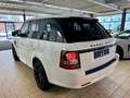 Land Rover Range Rover Sport SDV6 HSE *VOLL+NAVI+LEDER+20'A Blanco - thumbnail 8