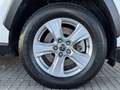 Toyota RAV 4 2.5 hybrid 4WD Business Blanc - thumbnail 14