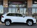 Toyota RAV 4 2.5 hybrid 4WD Business Blanc - thumbnail 7