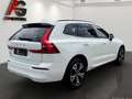 Volvo XC60 B4 Momentum Pro AWD Geartronic/LED/Panorama/AHK/1 Blanco - thumbnail 5