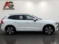 Volvo XC60 B4 Momentum Pro AWD Geartronic/LED/Panorama/AHK/1 Blanco - thumbnail 4