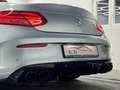 Mercedes-Benz C 300 Cabrio AMG-LINE/LED/360*/C43 OPTIK/DE FZG Argent - thumbnail 16