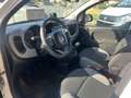 Fiat Panda Panda 1.0 hybrid City Life PREZZO REALE Bianco - thumbnail 10