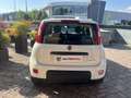Fiat Panda Panda 1.0 hybrid City Life PREZZO REALE Bianco - thumbnail 5