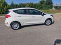 Ford Fiesta Fiesta 5p 1.1 Titanium 75 CV GPL 5p. Plus Bianco - thumbnail 11