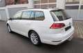 Volkswagen Golf 1.6 TDI** Comfortline**LED/Navi/Panorama Weiß - thumbnail 4