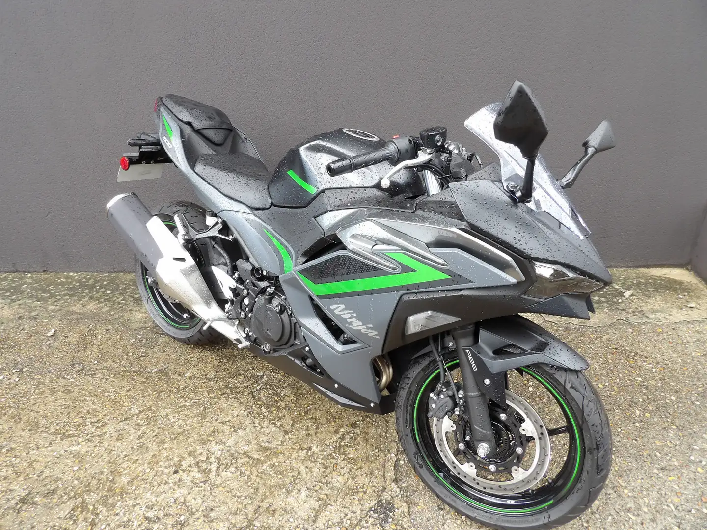 Kawasaki Ninja 500 SE Grau - 2