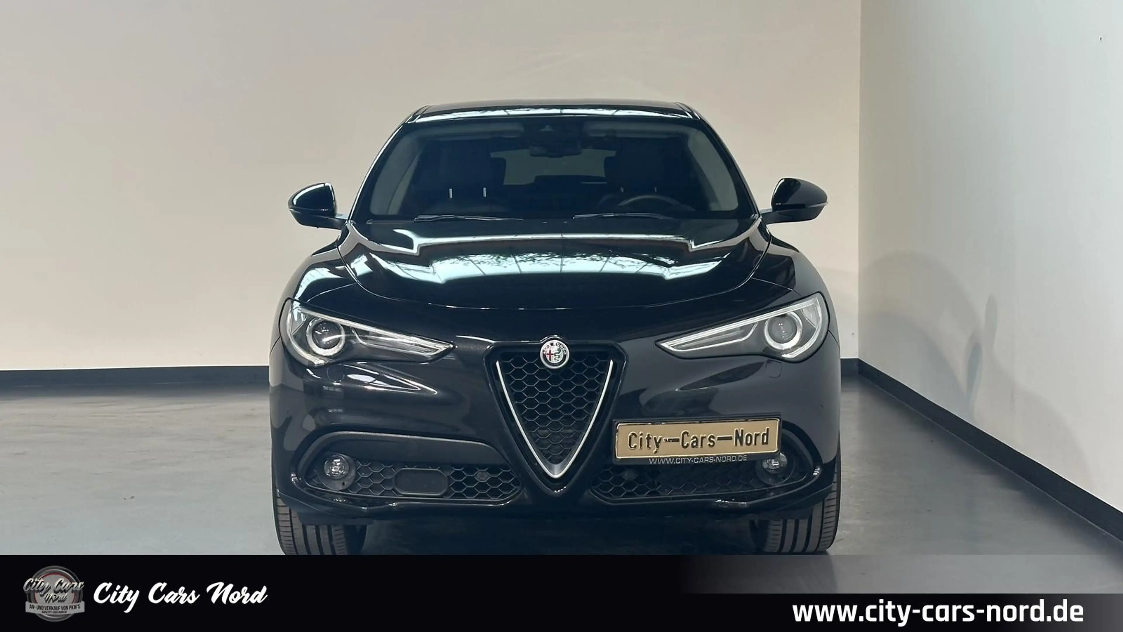 Alfa Romeo Stelvio Super Q4 LEDER+BI.XENON+KAM+KEYLESS — photo 9