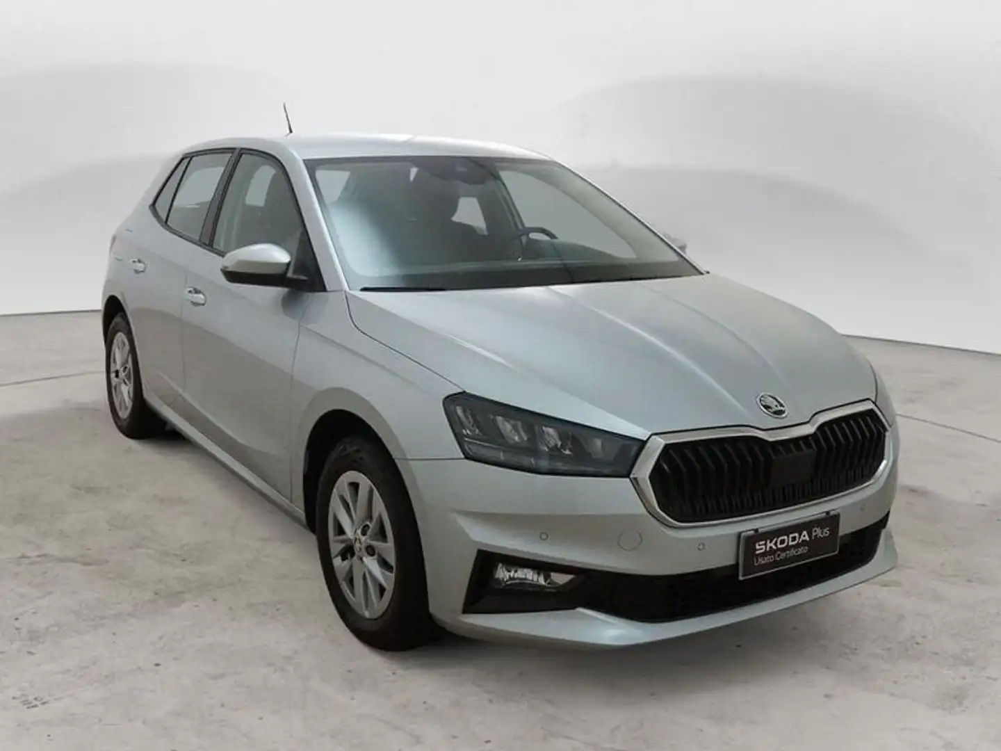Skoda Fabia 1.0 MPI EVO 80 CV Selection Argento - 1