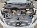 Mercedes-Benz Vito Vito 116CDI Autom Camper Aufstelldach StHz Blanc - thumbnail 21