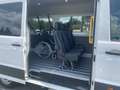 Volkswagen Crafter 35 MR Hochdach, Rollstuhlgerecht, Rampe, STHZ, Kli Alb - thumbnail 5