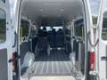 Volkswagen Crafter 35 MR Hochdach, Rollstuhlgerecht, Rampe, STHZ, Kli Alb - thumbnail 2