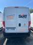 Fiat Ducato 35 LH2 2.3 mjt 140cv E6d-temp Bianco - thumbnail 4