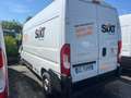 Fiat Ducato 35 LH2 2.3 mjt 140cv E6d-temp Bianco - thumbnail 1