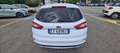 Ford Mondeo SW 2.0 tdci Titanium s&s 150cv Bianco - thumbnail 5