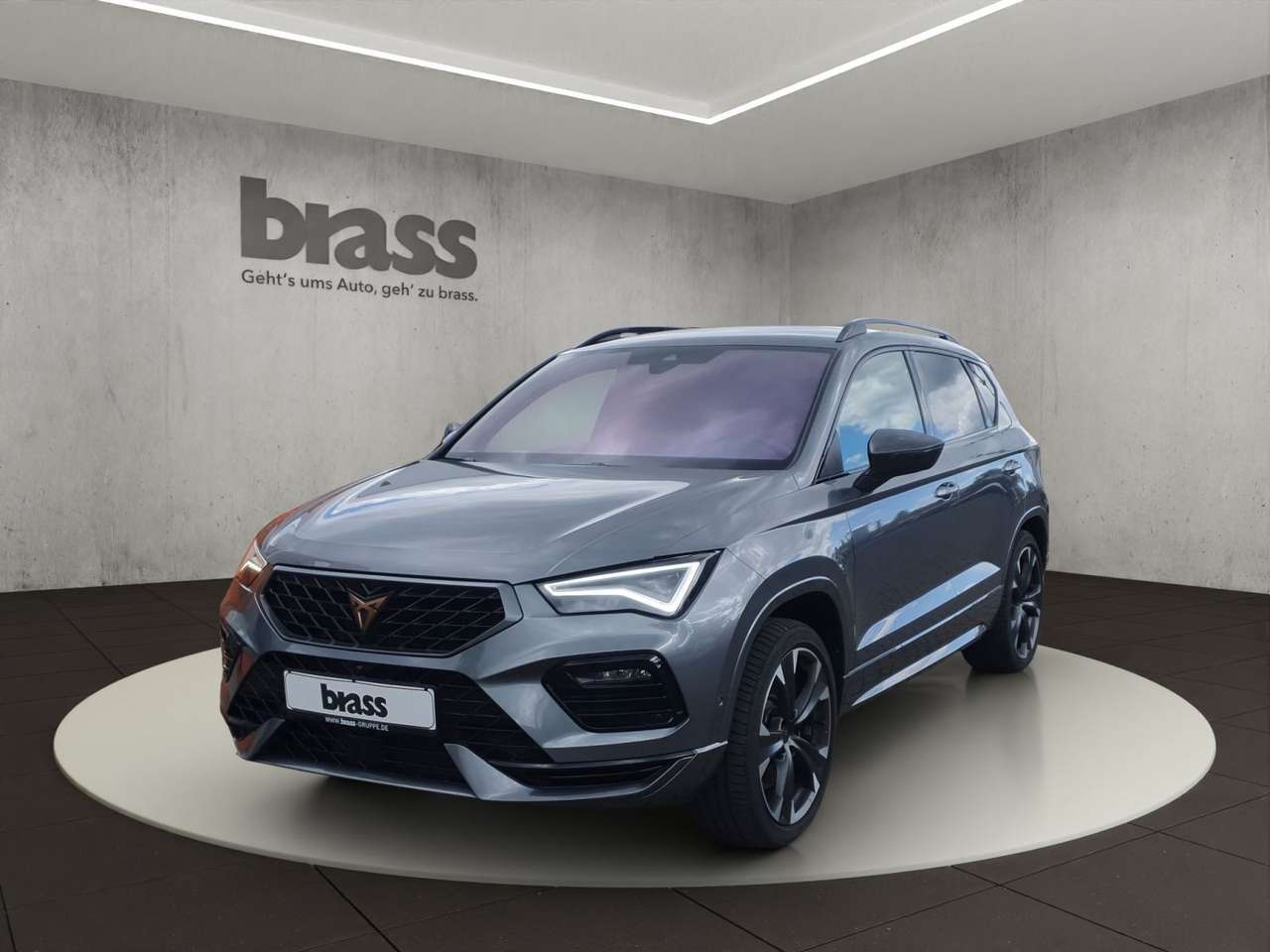Cupra Ateca — Cupra Ateca 2.0 TSI VZ AHK 360°-Kamera elektr. Sitze