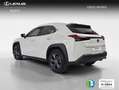 Lexus UX 300h 2.0  Plus Weiß - thumbnail 2