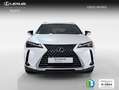 Lexus UX 300h 2.0  Plus Weiß - thumbnail 4