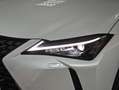 Lexus UX 300h 2.0  Plus Weiß - thumbnail 29