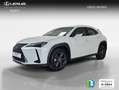 Lexus UX 300h 2.0  Plus Weiß - thumbnail 1