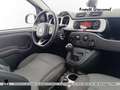 Fiat Panda 1.3 mjt 16v cross 4x4 s&s 95cv Gris - thumbnail 6