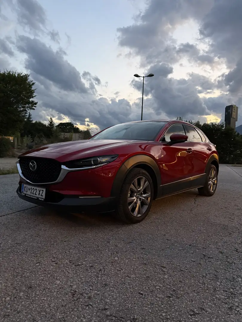 Mazda CX-30 G122 AWD Comfort+ Rot - 2