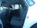 Volkswagen Polo Polo V 2009 5p 1.2 Comfortline 70cv Bianco - thumbnail 12