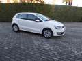 Volkswagen Polo Polo V 2009 5p 1.2 Comfortline 70cv Bianco - thumbnail 6