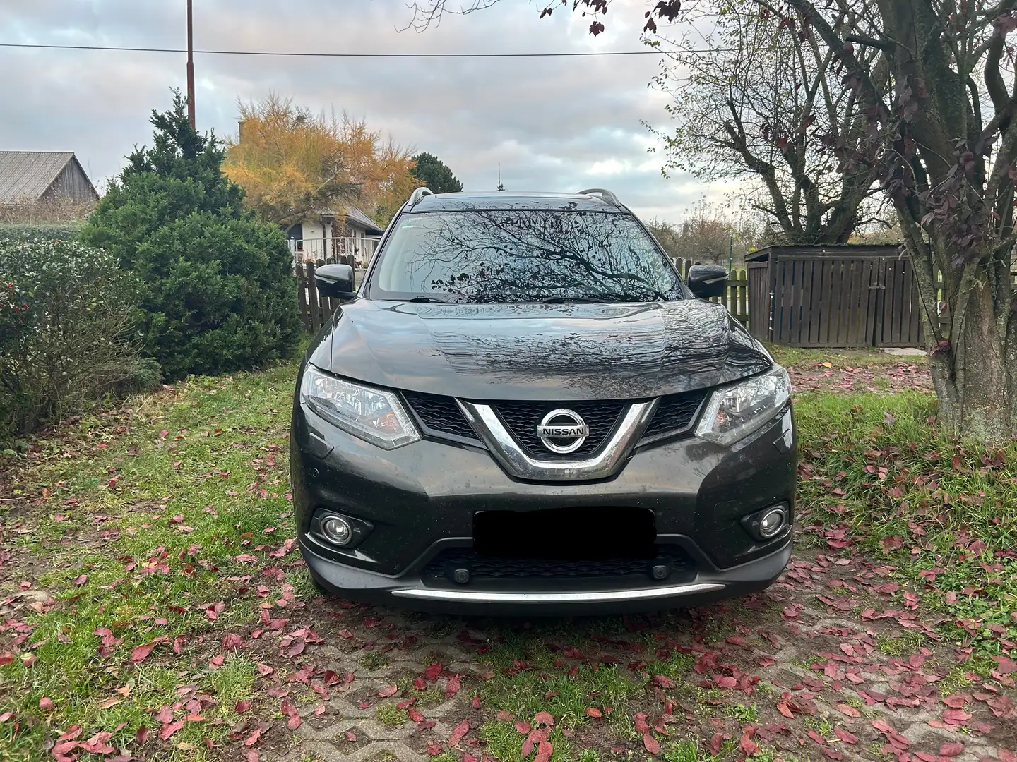 Nissan X-Trail X-Trail 1.6 DIG-T Tekna Grün - 2