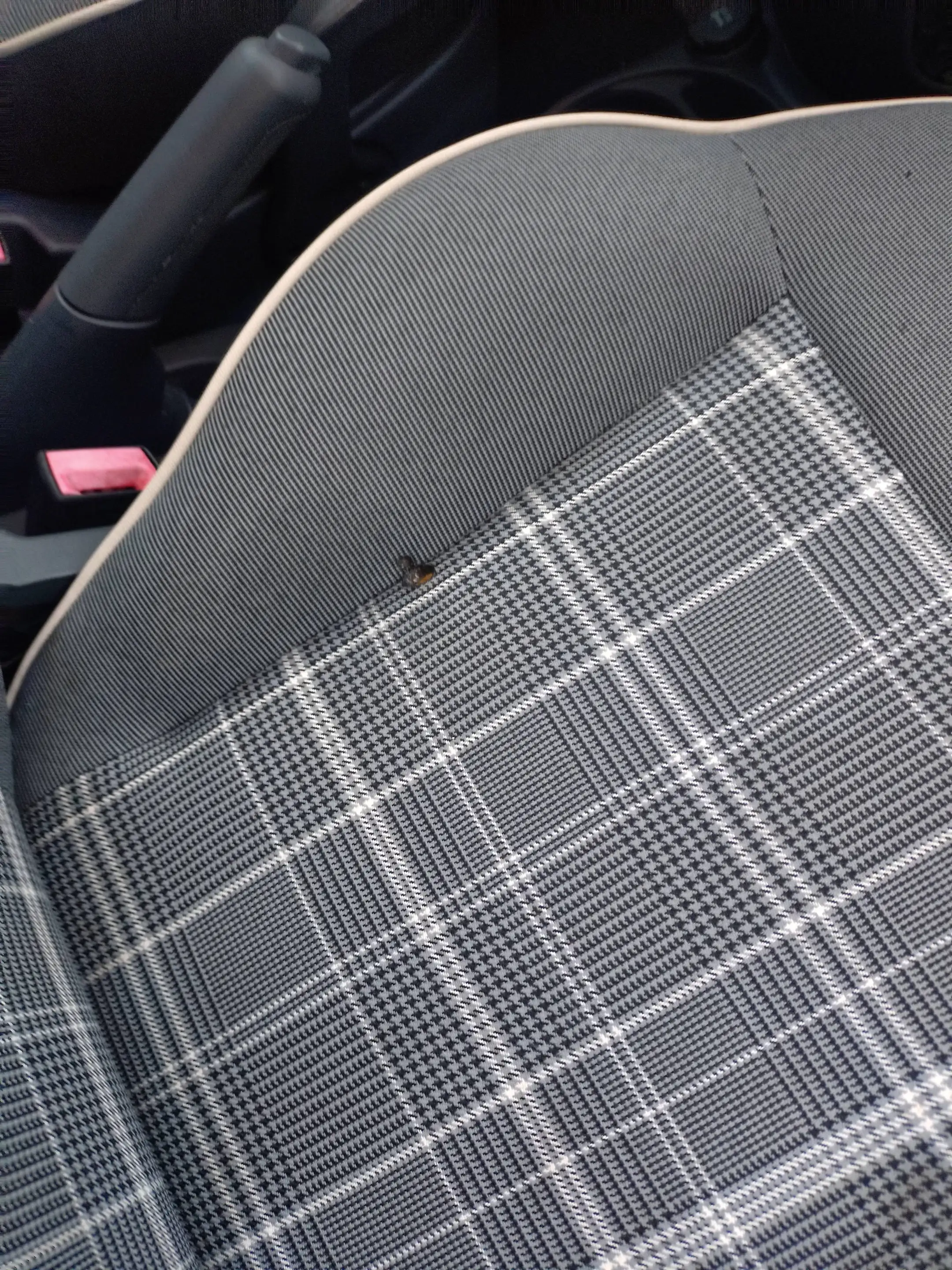 Fiat 500 Lounge — photo 15