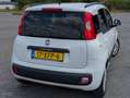Fiat Panda Panda 0.9 TwinAir Lounge Wit - thumbnail 21