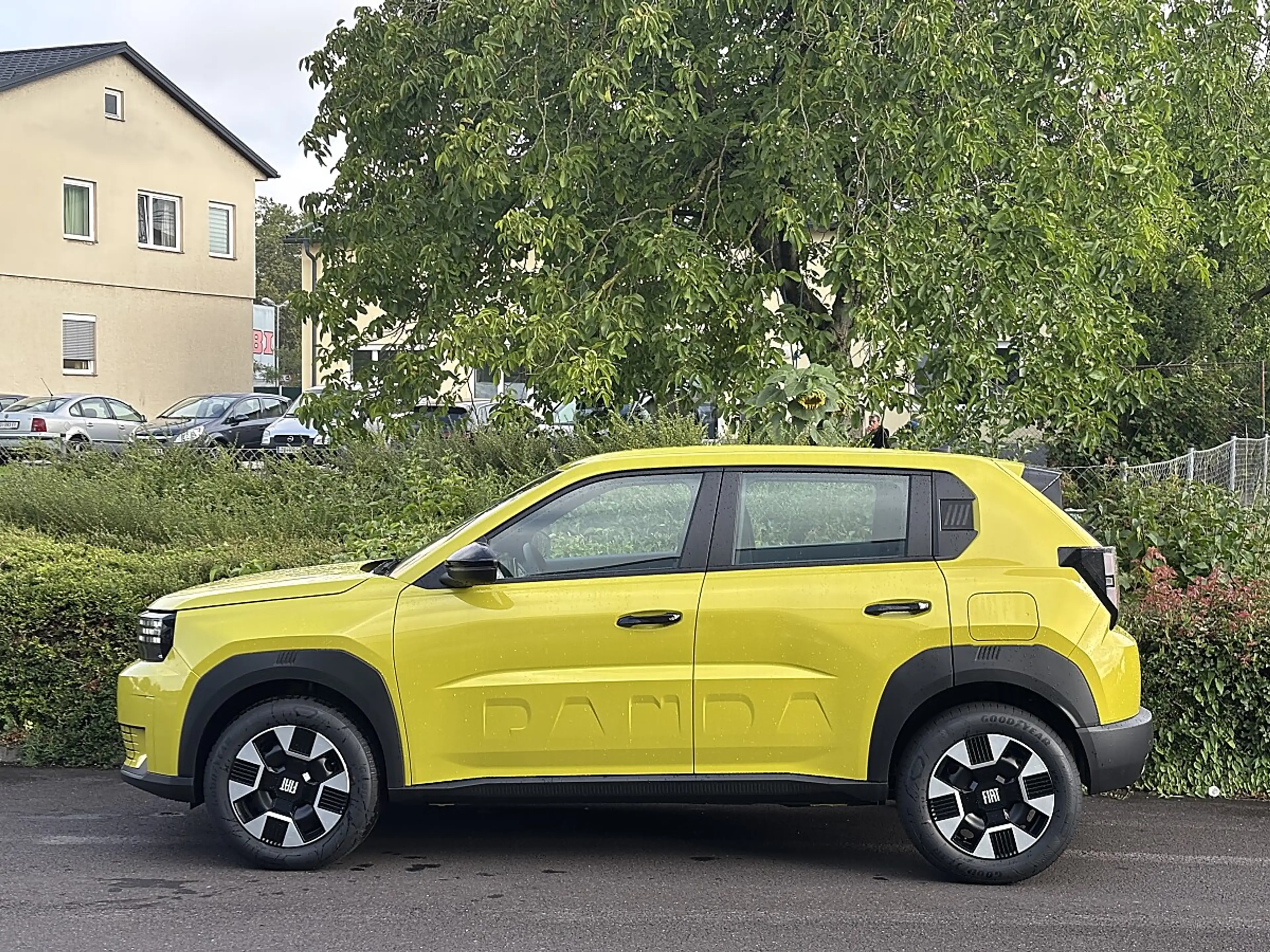 Fiat Grande Panda Hybrid mHEV 110 6-Gang eDCT Icon — photo 3
