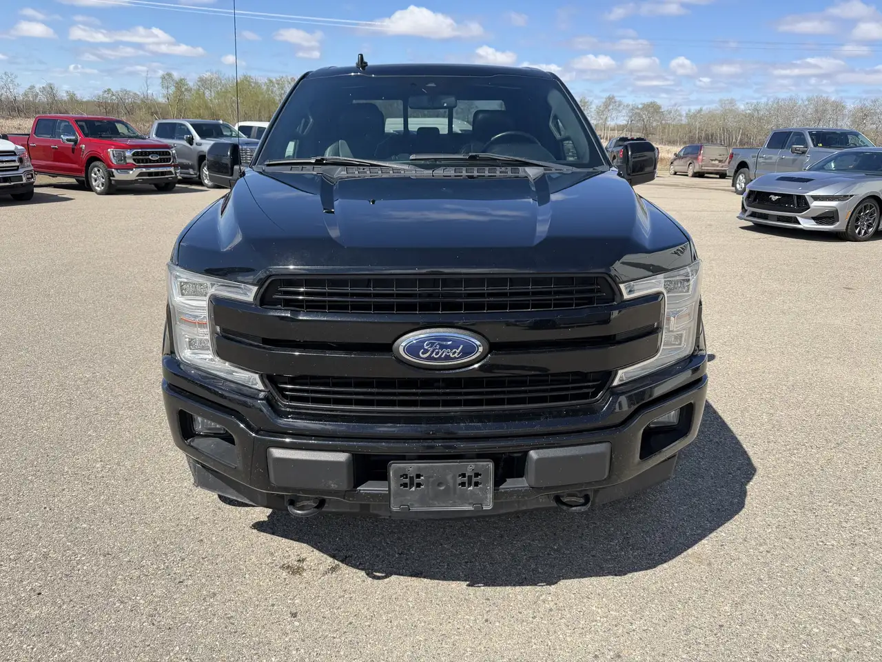 Ford F 150 снимка Ford F 150