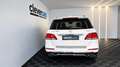 Mercedes-Benz GLE 350 GLE-Klasse 350 d 4Matic Weiß - thumbnail 4