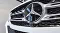 Mercedes-Benz GLE 350 GLE-Klasse 350 d 4Matic Weiß - thumbnail 10