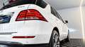 Mercedes-Benz GLE 350 GLE-Klasse 350 d 4Matic Weiß - thumbnail 7