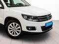 Volkswagen Tiguan 2.0TDI BMT Cross 4x2 110 Wit - thumbnail 9