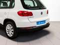 Volkswagen Tiguan 2.0TDI BMT Cross 4x2 110 Wit - thumbnail 13