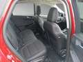 Ford Kuga Plug-In Hybrid Titanium X 2.5 Duratec -PHEV EU6d Rojo - thumbnail 17