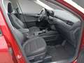 Ford Kuga Plug-In Hybrid Titanium X 2.5 Duratec -PHEV EU6d Rojo - thumbnail 16