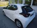Mazda 2 2 Hybrid  Centre-Line Weiß - thumbnail 8