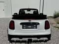 MINI John Cooper Works Cabrio MINI JCW Cabrio 231 PS JCW Trim, XL Paket Wit - thumbnail 6