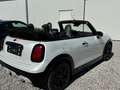 MINI John Cooper Works Cabrio MINI JCW Cabrio 231 PS JCW Trim, XL Paket Wit - thumbnail 5