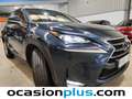 Lexus NX 300 300h Executive 4WD Tecno Bleu - thumbnail 13