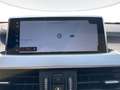 BMW X2 xdrive 18d Business X auto Bianco - thumbnail 11